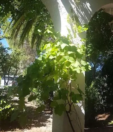 فيلة Casa Lorenzo بورتيماو