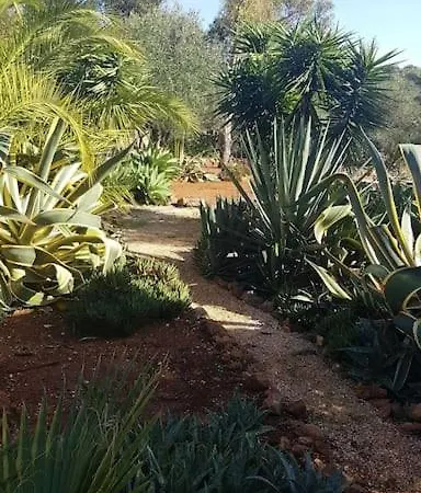 Casa Lorenzo * بورتيماو